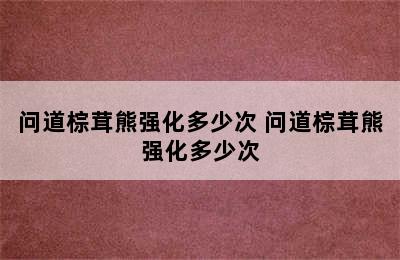 问道棕茸熊强化多少次 问道棕茸熊强化多少次